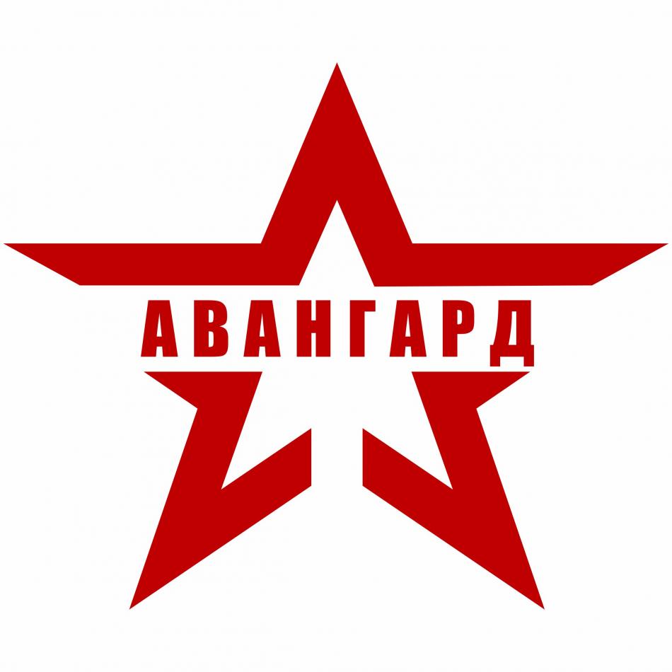Региональный молодежный центр «Авангард» Региональный молодежный центр «Авангард»